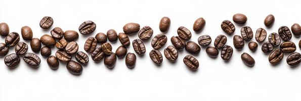 A visually appealing display of freshly roasted coffee beans against a white background highlights their rich colors and textures, inviting coffee lovers to explore the intricate brewing process photo