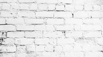 A striking white brick wall stands as a versatile and elegant backdrop that is perfect for various applications such as photography, design, and home decor, enhancing visual appeal and creativity photo