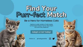 Mobile FB Cover - Cat Adoption Agency template
