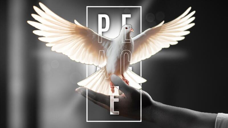 International Day of Peace with Hand Releasing a Dove for Mobile Facebook Cover