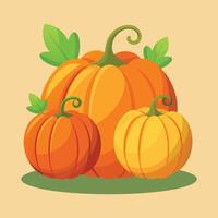 Pumpkin Various Shapes unique design vector