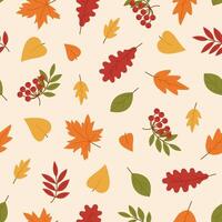 Seamless pattern with different autumn leaves and rowan branches on beige background. Colorful foliage. Fall season print. Flat illustration in simple style vector