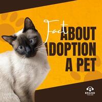 Adoption Instagram Post Caraousel template