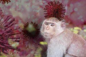 Mpox caused by monkeypox virus. Monkeypox outbreak. Viral transmission from animals to humans. Smallpox vaccine, and public health efforts in controlling spread of disease. Virus harbored in monkeys. photo