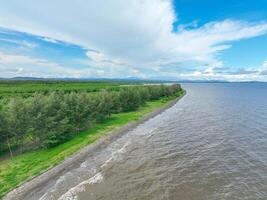 Aerial view of coastline bordered by lush pine tree line and green mangrove forest. Nature landscape. Natural carbon sink capturing CO2. Coastal ecosystem. Coastal diversity and natural carbon capture photo