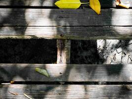 Path walk way Wood floor with Bridge in the forest in mangrove forest. photo