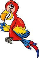 cartoon macaw parrot funny bird character vector