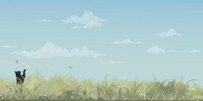 Grass field landscape with a black cat playing with butterfly and blue sky background graphic illustration have blank space. vector