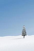 Minimalist snowscape with lonely pine tree have blue sky vertical background graphic illustration. Merry Christmas and Happy New Year greeting card template have blank space. vector