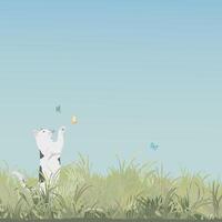 Grass field landscape with a cat playing with butterfly and blue sky square background graphic illustration have blank space. vector