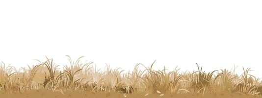Grass in autumn season isolated flat design graphic illustrated on white background. Gold grass bushes side view object template. vector