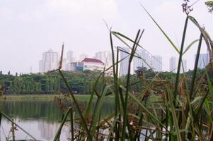 view of the lake with tall buildings behind the lake photo