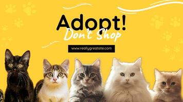 Mobile FB Cover - Cats Adoption Agency template