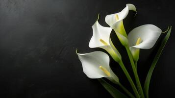 Condolences card with white calla lilies on black background, copy space photo