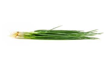 Spring Onion isolated on white background photo