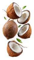Cracked coconuts with white flesh and green leaves, floating, isolated transparent png