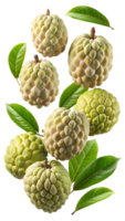 Whole and sliced custard apples with green leaves, floating, isolated transparent png
