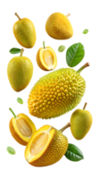 Whole and sliced jackfruit with green leaves, isolated transparent png
