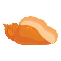 Beautiful orange seashell lying on white background vector