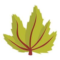 Green tropical leaf with red veins growing on white background vector