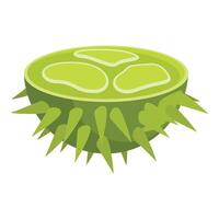 Cartoon icon of half of chestnut showing inside vector