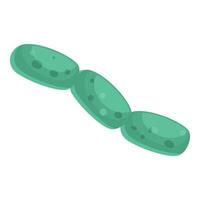 Green streptococcus bacteria forming a chain through cell division vector