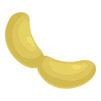 Two cashew nuts are lying on top of each other vector