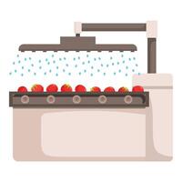 Automated system washing ripe red tomatoes on conveyor belt vector