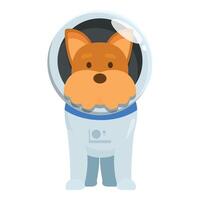 Brown dog wearing astronaut suit standing upright vector