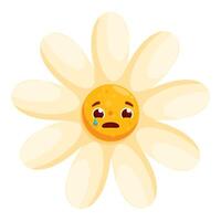 Sad chamomile flower is crying with a tear running down its cheek vector