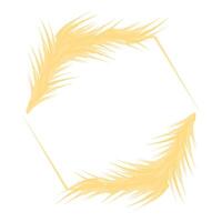 Two golden feathers forming hexagonal frame on white background vector
