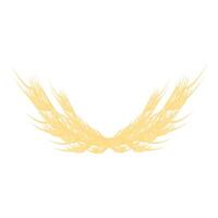 Two golden wheat stalks forming a heart shape on white background vector