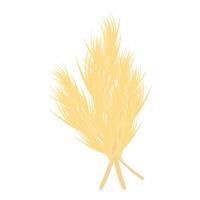 Bunch of ripe golden wheat ears is lying on white background vector