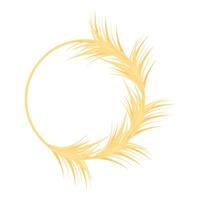 Golden pampas grass creating a circle on white background vector