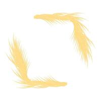 Two golden wheat stalks forming a frame on white background vector