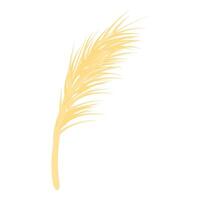 Single wheat stalk growing with kernels still attached vector