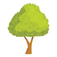 Green deciduous tree standing on two trunks growing upwards vector