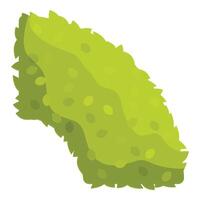 Green bush growing with leaves forming a triangle shape vector