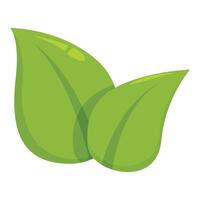 Two green leaves overlapping creating fresh natural icon vector
