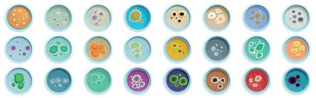 Mold fungus colonies icons set. Petri dishes with colonies of microorganisms growing in them vector