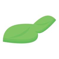 Single green basil leaf is lying on a white background vector