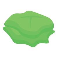 Fresh green lettuce leaves forming a small stack vector