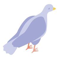Blue dove is standing quietly vector