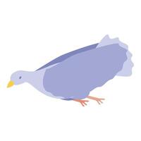 Blue dove bird flying with spread wings vector