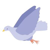 White dove flying with open wings spreading love and peace vector