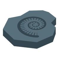 Ammonite fossil showing spiral shell on stone vector