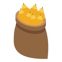Brown burlap sack full of ripe pears isometric view vector