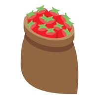 Full burlap sack overflowing with fresh ripe red tomatoes vector