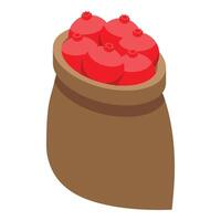 Full burlap sack overflowing with ripe pomegranates vector