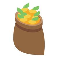 Full burlap sack with ripe oranges and green leaves vector